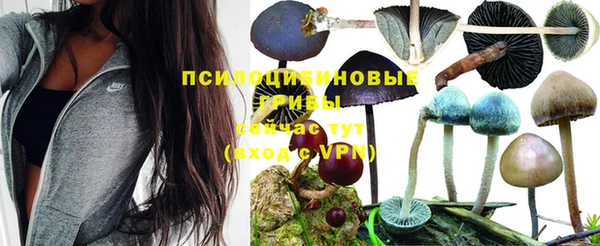 таблы Кинешма